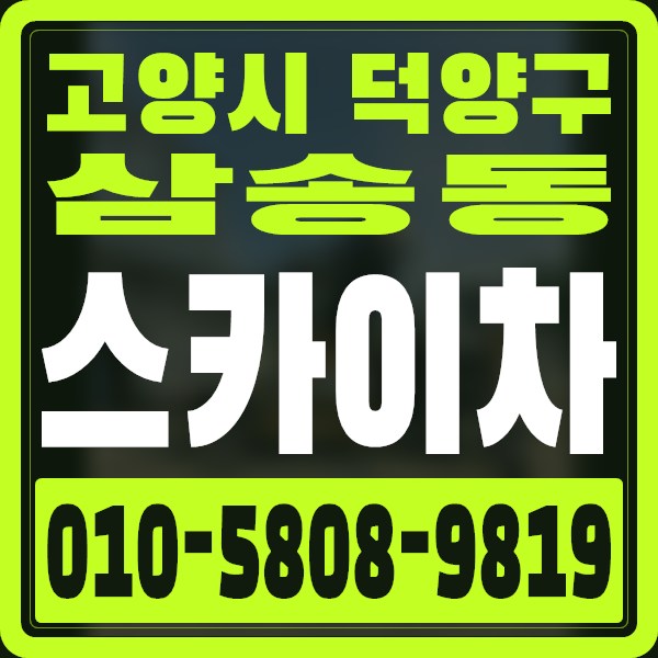 경기 고양시 덕양구 삼송동 스카이차 · 010-5808-9819