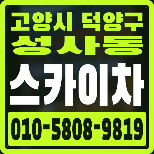 경기 고양시 덕양구 성사동 스카이차 · 010-5808-9819