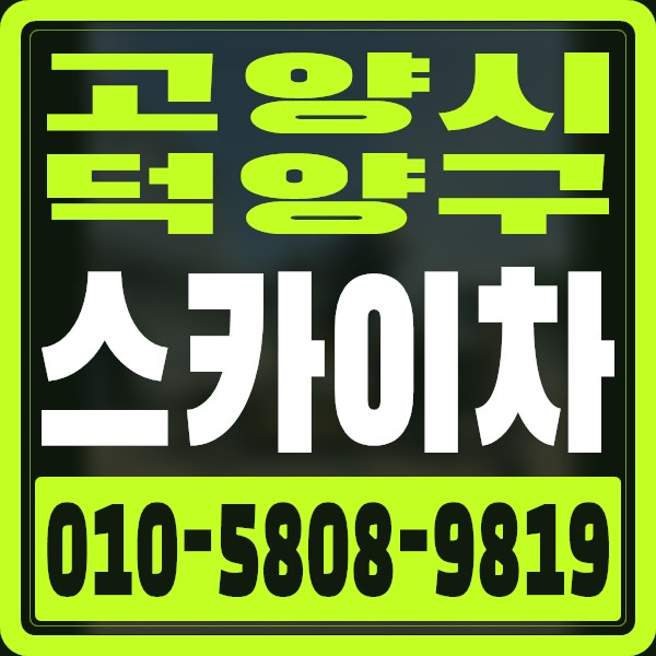 경기 고양시 덕양구 스카이차 · 010-5808-9819