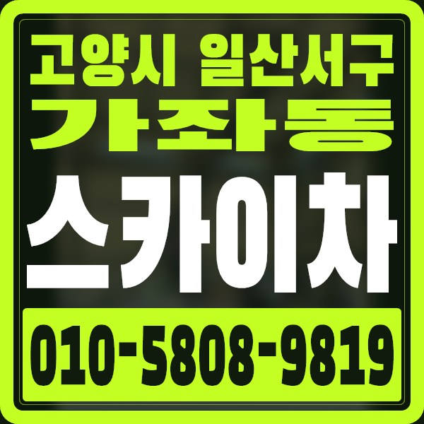 경기 고양시 일산서구 가좌동 스카이차 · 010-5808-9819