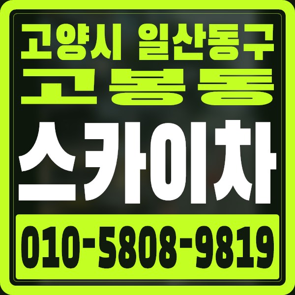경기 고양시 일산동구 고봉동 스카이차 · 010-5808-9819