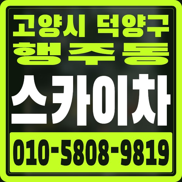 경기 고양시 덕양구 행주동 스카이차 · 010-5808-9819