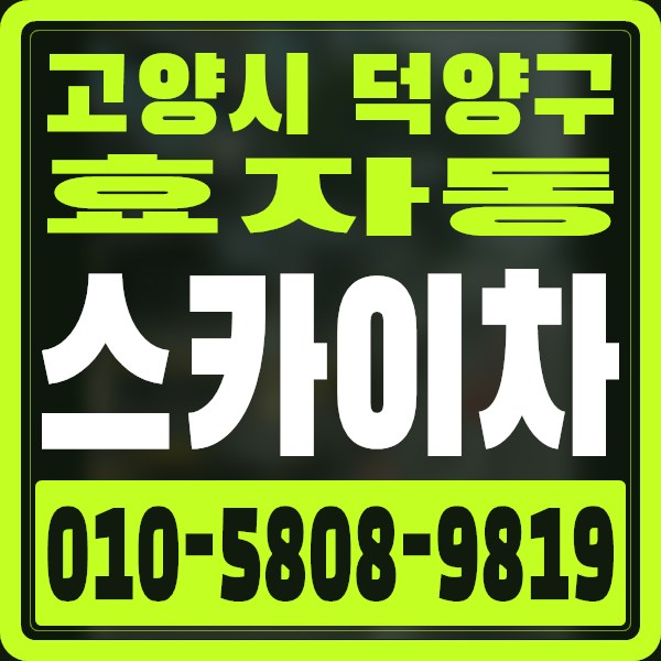경기 고양시 덕양구 효자동 스카이차 · 010-5808-9819
