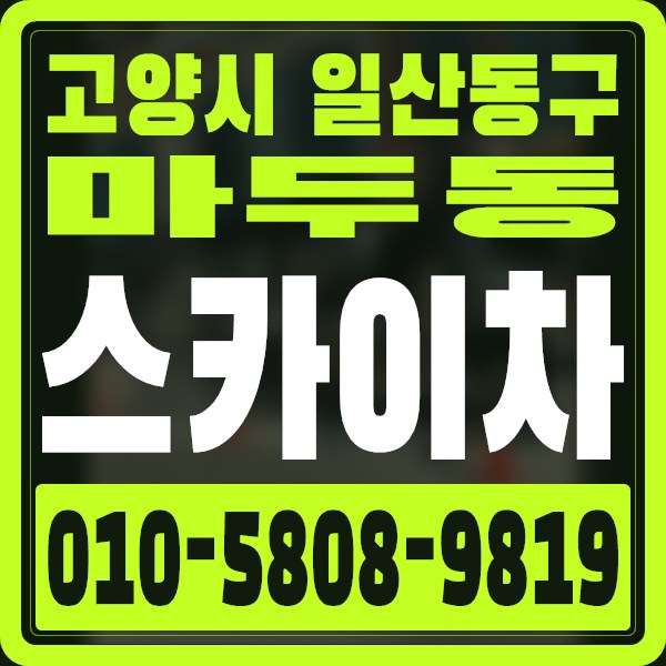 경기 고양시 일산동구 마두동 스카이차 · 010-5808-9819