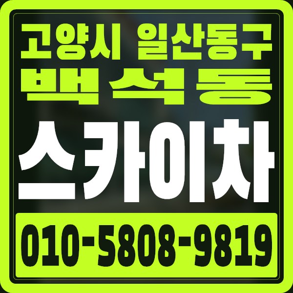 경기 고양시 일산동구 백석동 스카이차 · 010-5808-9819