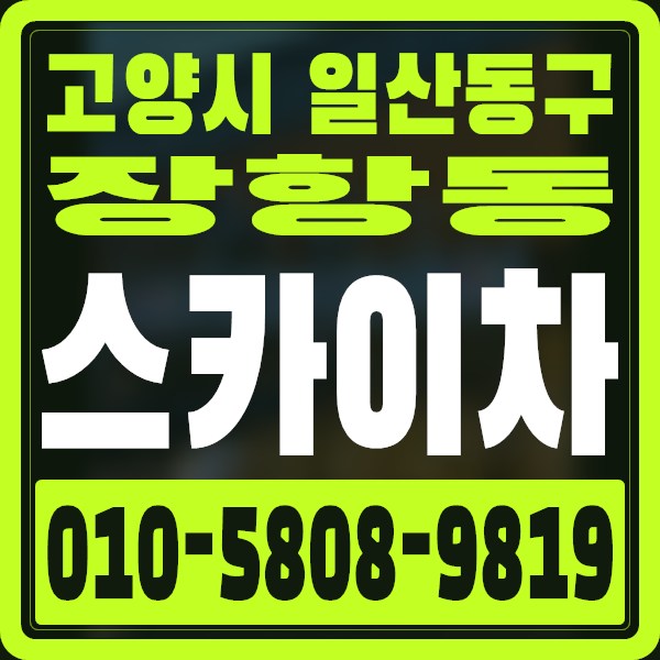 경기 고양시 일산동구 장항동 스카이차 · 010-5808-9819