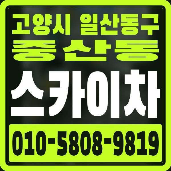 경기 고양시 일산동구 중산동 스카이차 · 010-5808-9819