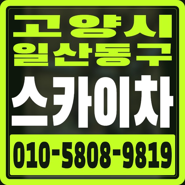 경기 고양시 일산동구 스카이차 · 010-5808-9819