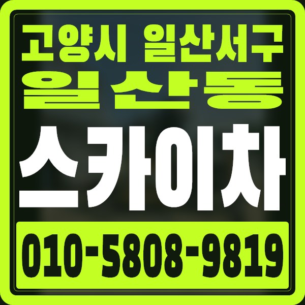경기 고양시 일산서구 일산동 스카이차 · 010-5808-9819