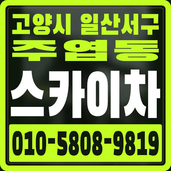 경기 고양시 일산서구 주엽동 스카이차 · 010-5808-9819