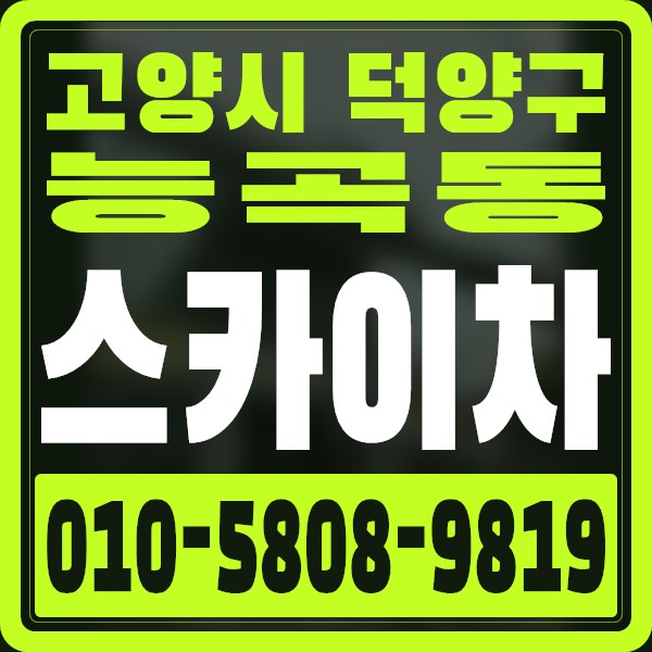 경기 고양시 덕양구 능곡동 스카이차 · 010-5808-9819