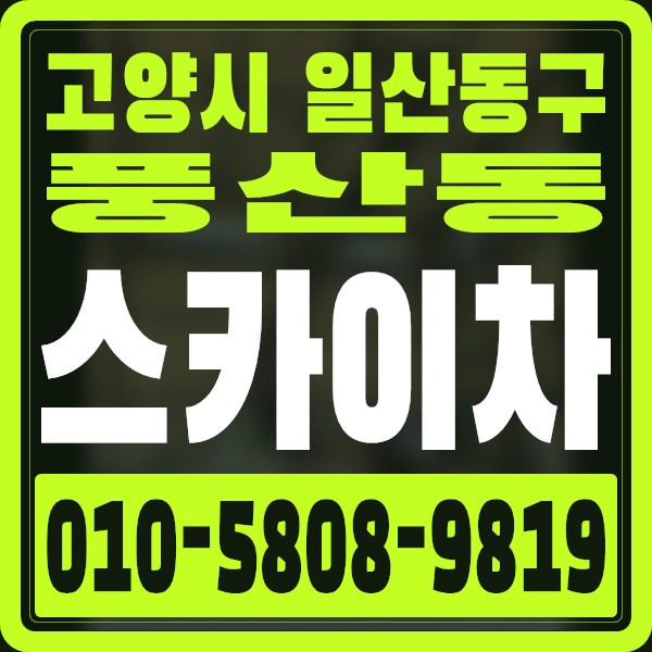 경기 고양시 일산동구 풍산동 스카이차 · 010-5808-9819