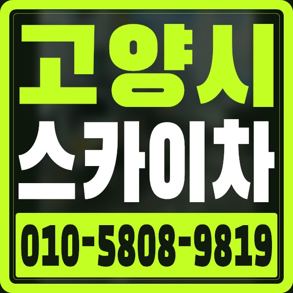 경기 고양시 스카이차 · 010-5808-9819