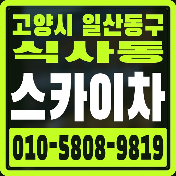 경기 고양시 일산동구 식사동 스카이차 · 010-5808-9819