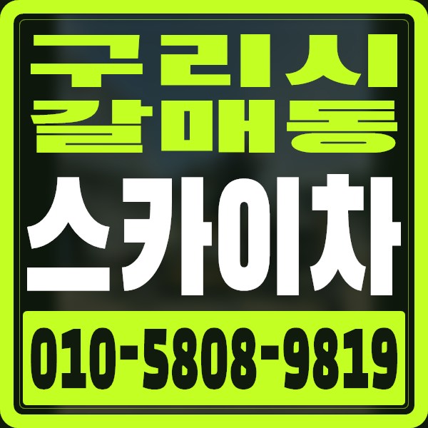 경기 구리시 갈매동 스카이차 · 010-5808-9819