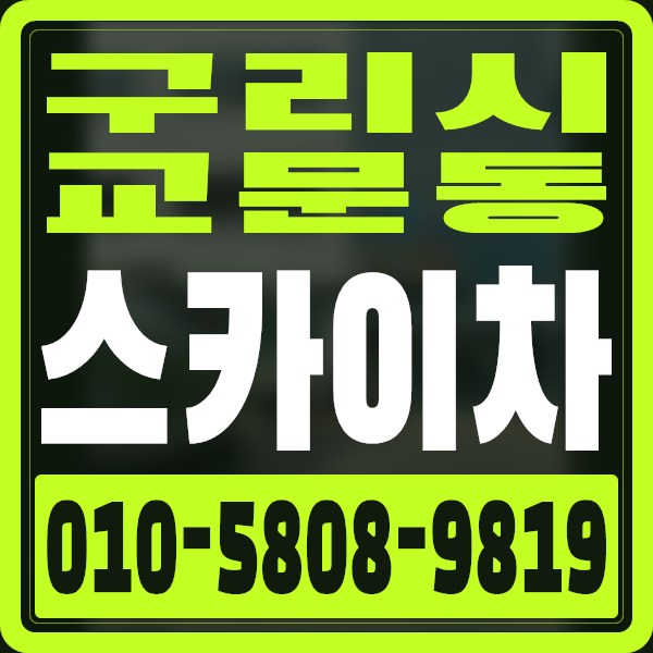 경기 구리시 교문동 스카이차 · 010-5808-9819