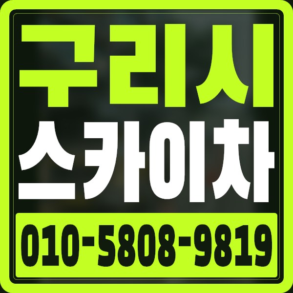 경기 구리시 스카이차 · 010-5808-9819