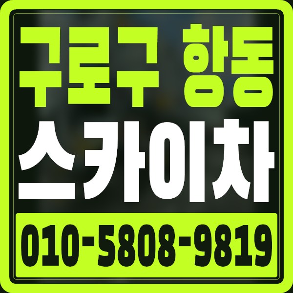 서울 구로구 항동 스카이차 · 010-5808-9819