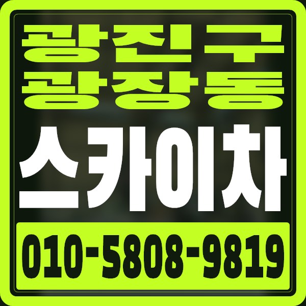 서울 광진구 광장동 스카이차 · 010-5808-9819