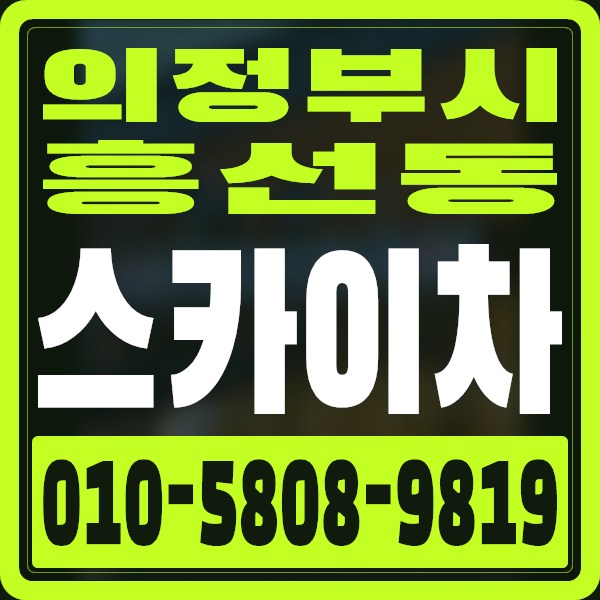 경기 의정부시 흥선동 스카이차 · 010-5808-9819