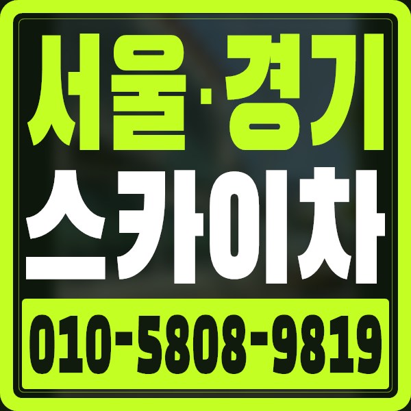 서울·경기 스카이차 · 010-5808-9819