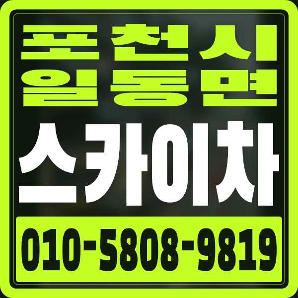 경기 포천시 일동면 스카이차 · 010-5808-9819