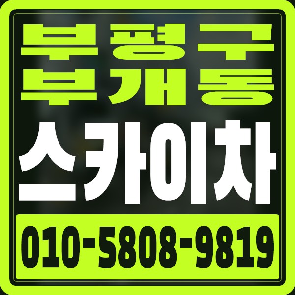 인천 부평구 부개동 스카이차 · 010-5808-9819
