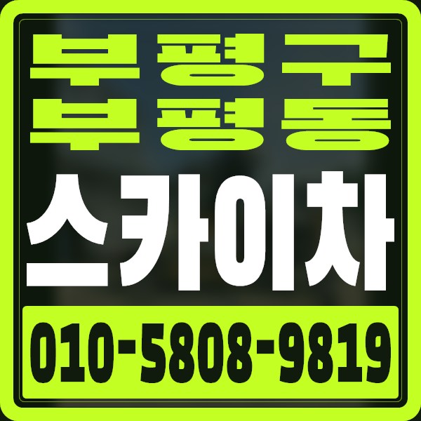 인천 부평구 부평동 스카이차 · 010-5808-9819