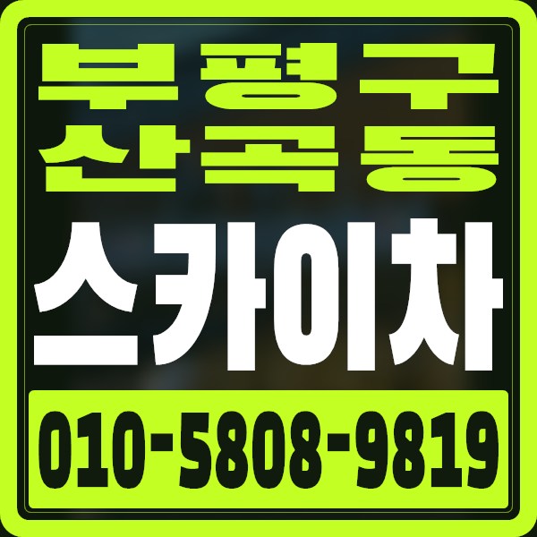 인천 부평구 산곡동 스카이차 · 010-5808-9819