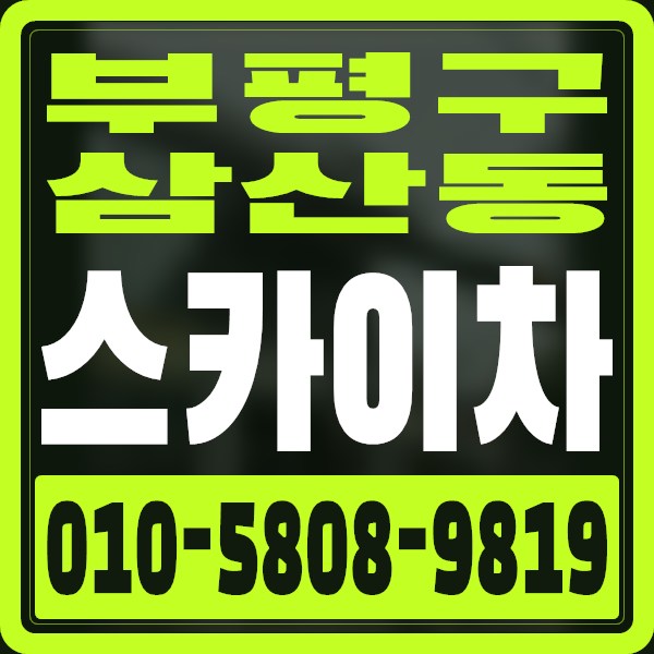 인천 부평구 삼산동 스카이차 · 010-5808-9819