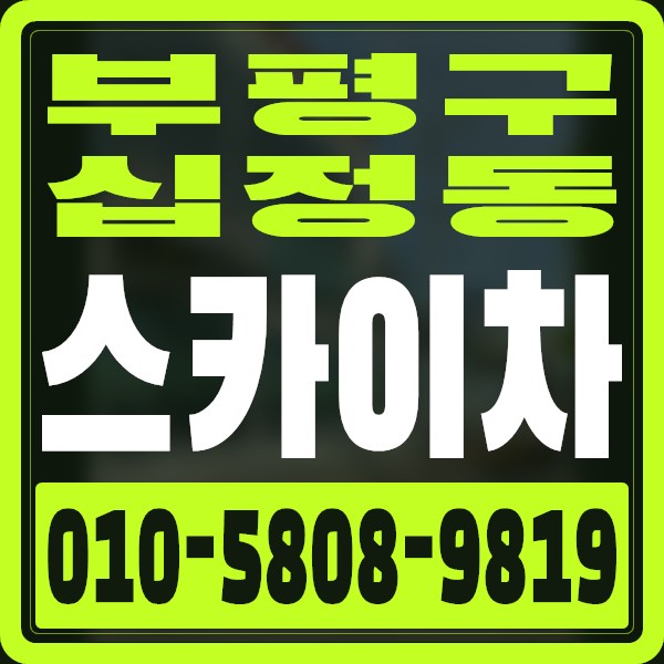 인천 부평구 십정동 스카이차 · 010-5808-9819