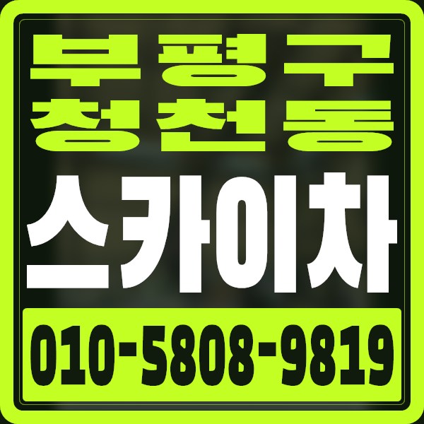 인천 부평구 청천동 스카이차 · 010-5808-9819