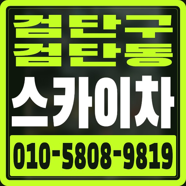 인천 검단구 검단동 스카이차 · 010-5808-9819