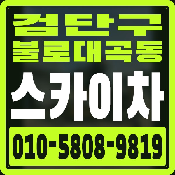 인천 검단구 불로대곡동 스카이차 · 010-5808-9819