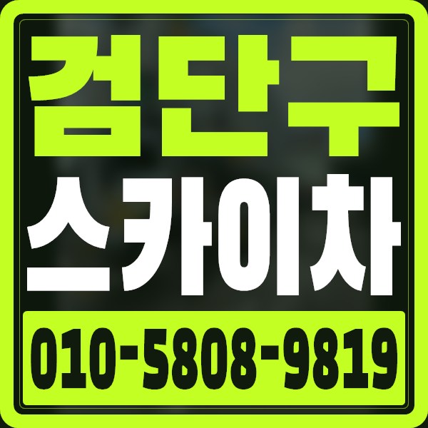 인천 검단구 스카이차 · 010-5808-9819