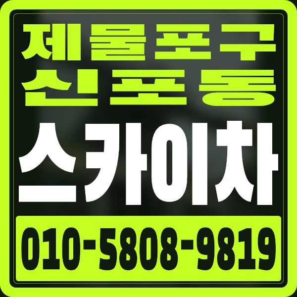 인천 제물포구 신포동 스카이차 · 010-5808-9819