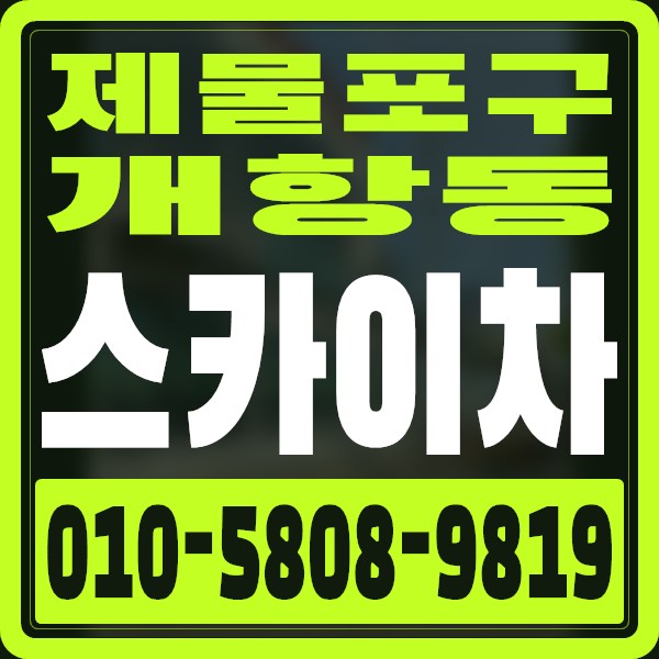 인천 제물포구 개항동 스카이차 · 010-5808-9819