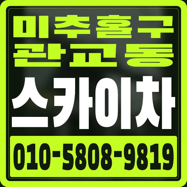 인천 미추홀구 관교동 스카이차 · 010-5808-9819
