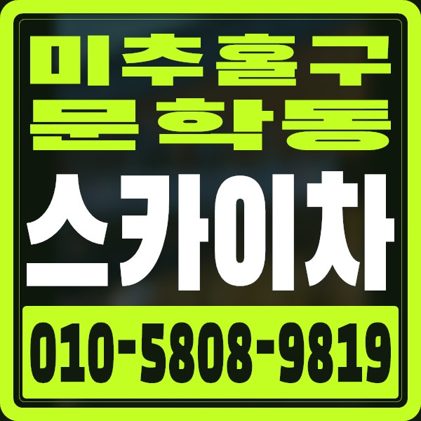 인천 미추홀구 문학동 스카이차 · 010-5808-9819