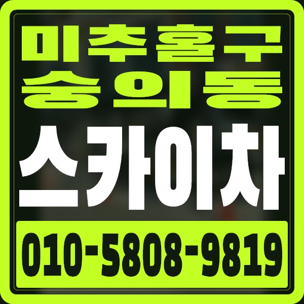 인천 미추홀구 숭의동 스카이차 · 010-5808-9819