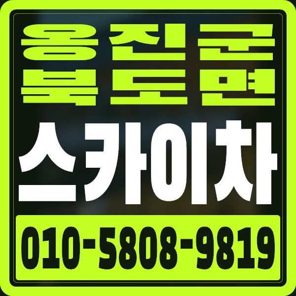 인천 옹진군 북도면 스카이차 · 010-5808-9819