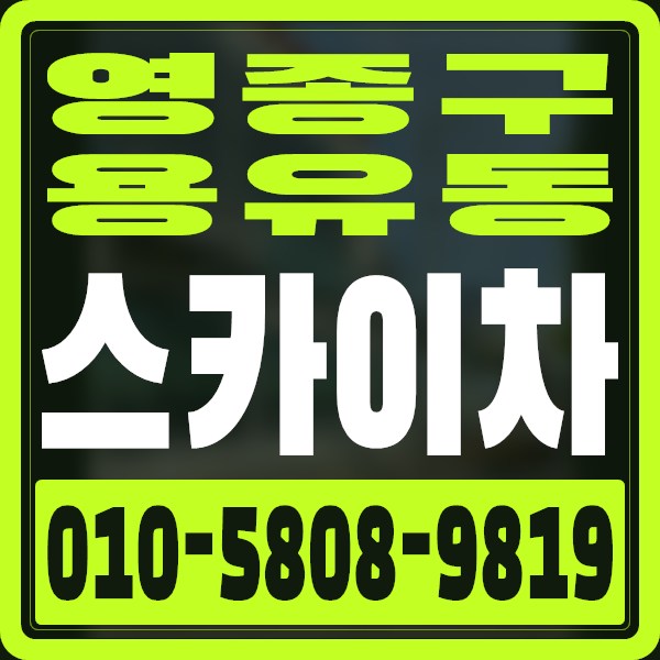 인천 영종구 용유동 스카이차 · 010-5808-9819