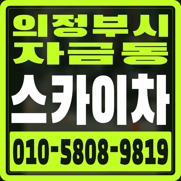 경기 의정부시 자금동 스카이차 · 010-5808-9819