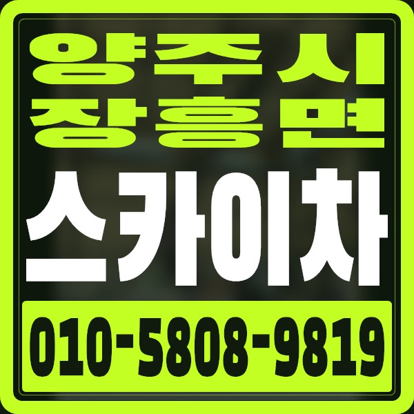 경기 양주시 장흥면 스카이차 · 010-5808-9819