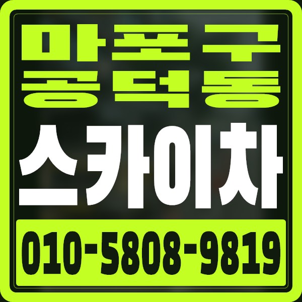 서울 마포구 공덕동 스카이차 · 010-5808-9819