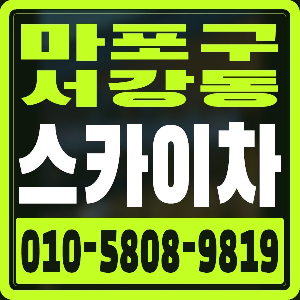 서울 마포구 서강동 스카이차 · 010-5808-9819