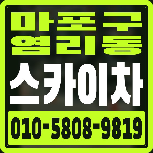 서울 마포구 염리동 스카이차 · 010-5808-9819