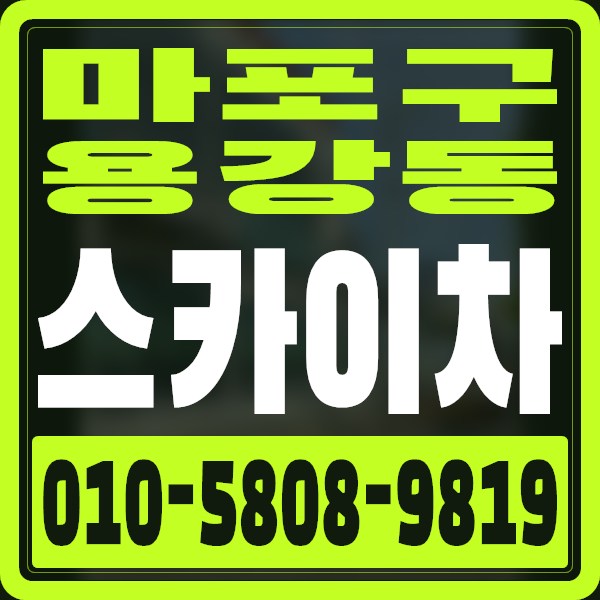 서울 마포구 용강동 스카이차 · 010-5808-9819