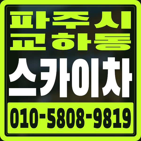 경기 파주시 교하동 스카이차 · 010-5808-9819
