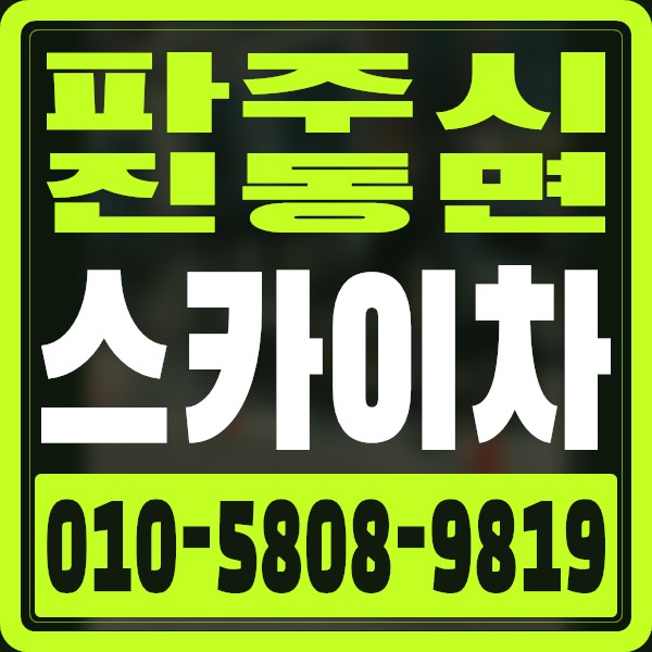 경기 파주시 진동면 스카이차 · 010-5808-9819